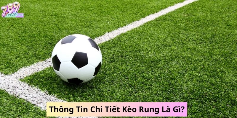 789club-thong-tin-chi-tiet-keo-rung-la-gi